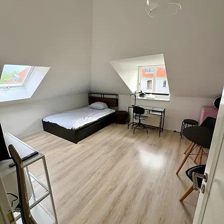 Modern Möblierte Auf Der Glacisstraße Zwischen Neustadt, Elbwiesen Apartment Dresden