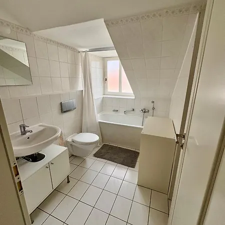Apartment Modern Möblierte Auf Der Glacisstraße Zwischen Neustadt, Elbwiesen
